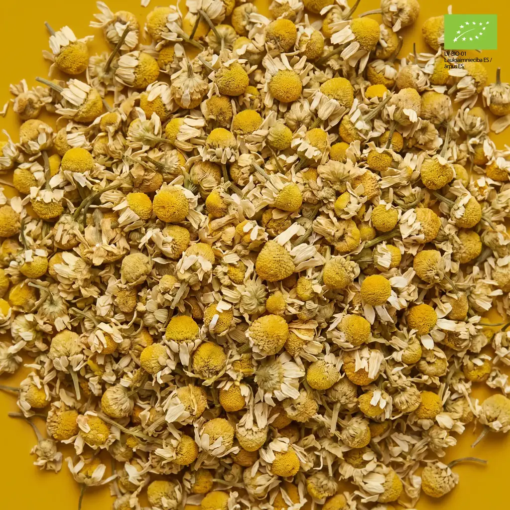 para-H01-organic-camomile-pouch-leaf.webp