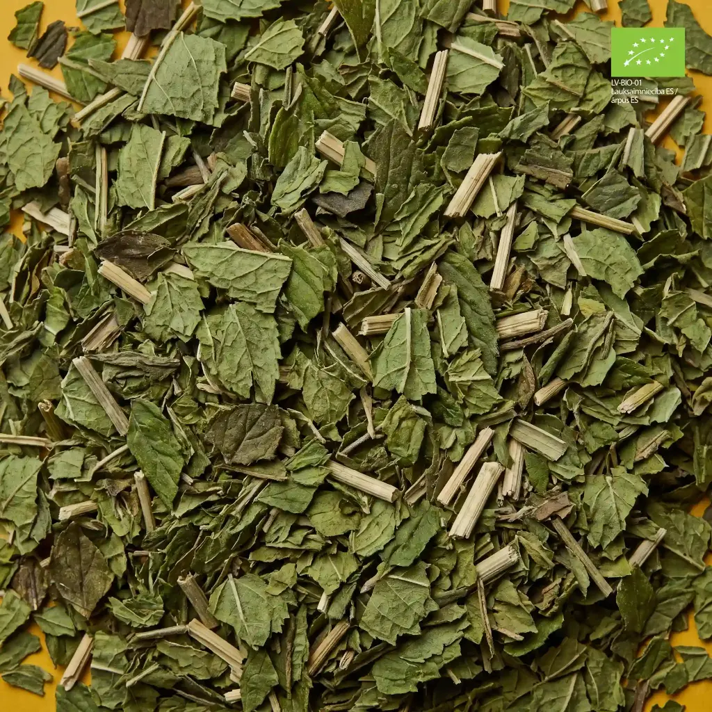 para-H02-organic-peppermint-pouch-leaf.webp