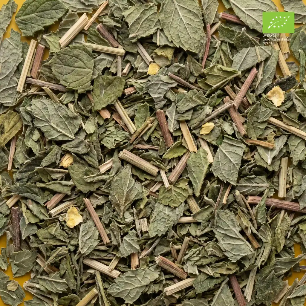 para-H03-organic-green-mint-pouch-leaf.webp